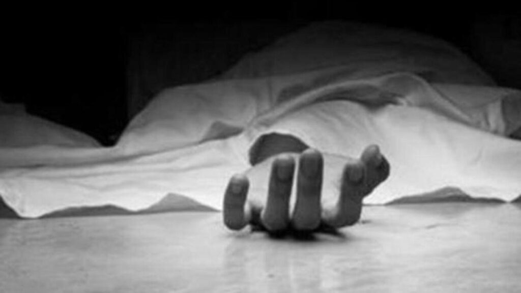 Man dies by suicide after killing pregnant wife, aunt in Jaipur: Police
