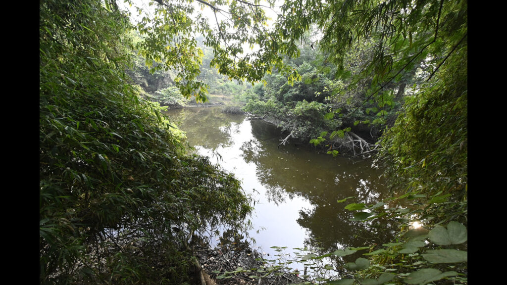 Mapping of forests done to curb fire mishaps, says minister