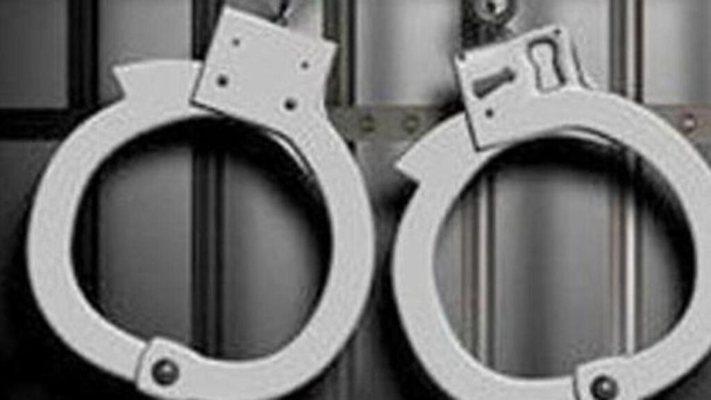 Mizoram: Assam Rifles seize narcotics, arms, foreign liquor; 1 Myanmar national held