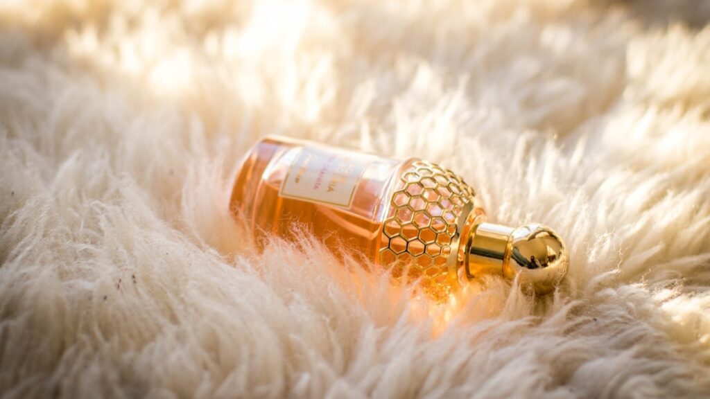 Myntra fwd: Citrus and floral perfumes that are just perfect for summers! Smell fresh and aromatic all day long | Fashion Trends