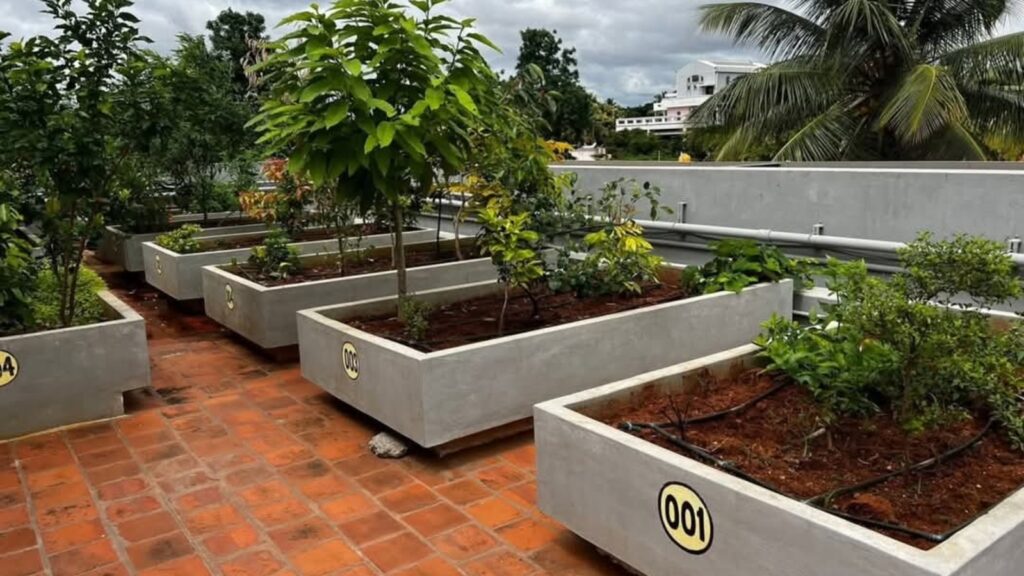 Mysuru apartment’s rooftop garden plan sparks nationwide debate on sustainable living | Bengaluru