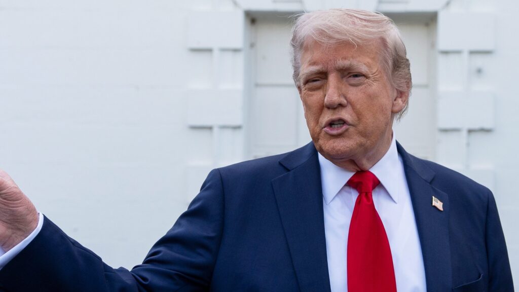 National responses to global tariff disruptions