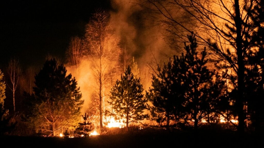 New Jersey wildfire: Live map and evacuation updates as Ocean County blaze grows to 1,200 acres