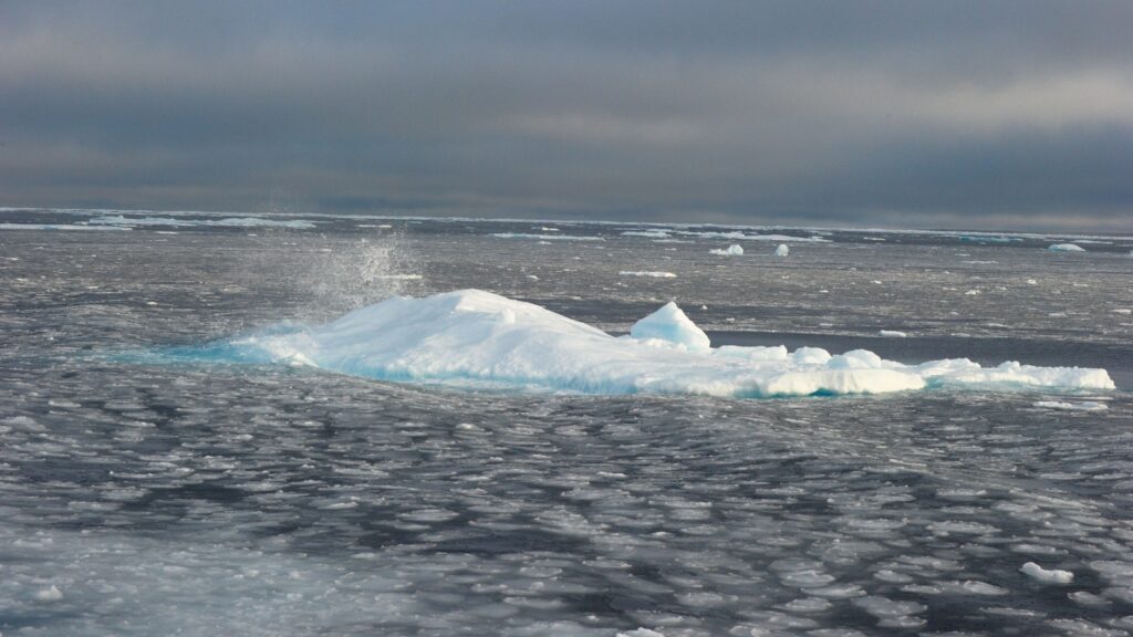 Nuclear icebreaker fleets in the Arctic: Prospects and opportunities