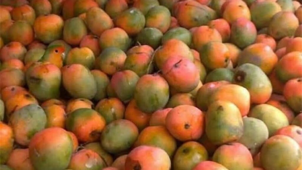 Only those with visual superpowers can spot the hidden parrot among mangoes in this optical illusion | Trending