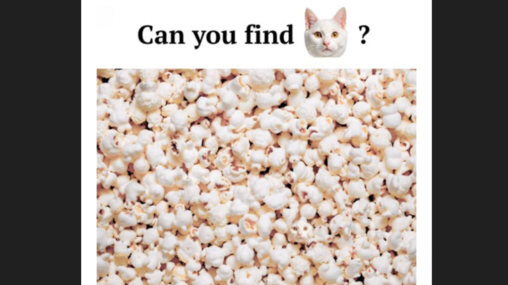 Optical illusion: If you spot hidden cat in this image, you’ll be declared as true puzzle master | Trending