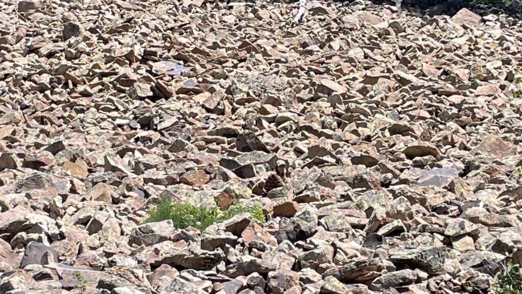 Optical illusion: Only those with supernatural focus can spot the hidden woman among the rocks | Trending