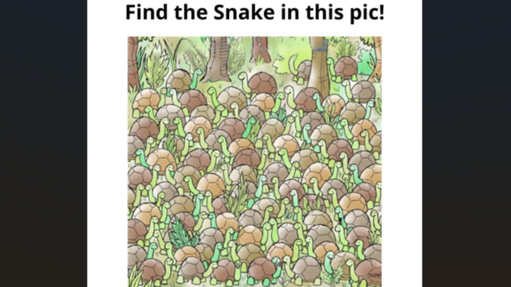 Optical illusion: You’ll be called the master of perception if you spot the hidden snake in 10 seconds | Trending