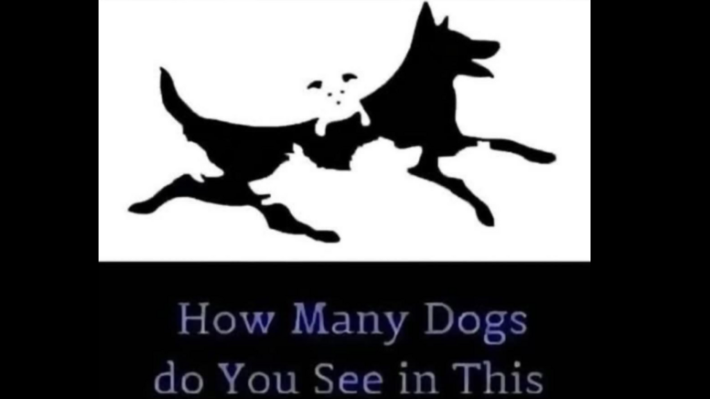 Optical illusion: You’ve got superhuman eyesight if you can count all the hidden dogs correctly | Trending