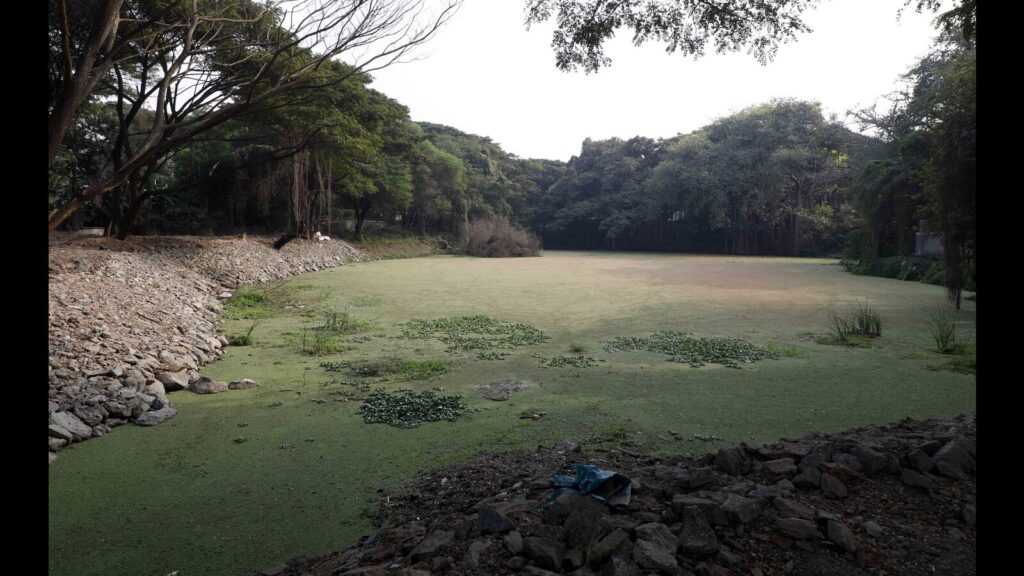PMC starts survey of properties near defence establishments