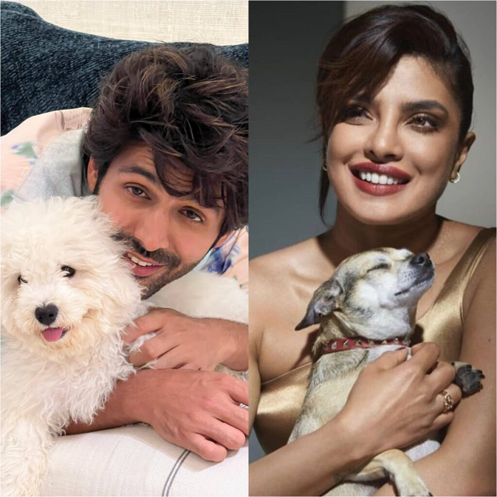 Pet Day 2025 | From Priyanka Chopra’s chihuahua Diana to Kartik Aaryan’s poodle Katori, meet celeb pets ruling Instagram