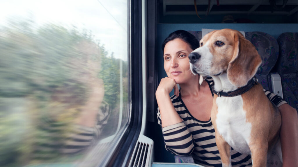 Planning to travel with your pet on the train? Don’t miss this important checklist