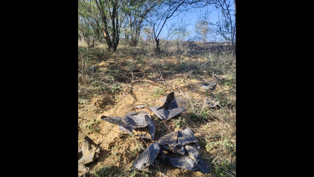 Plastic bags strewn in Rewari forests threaten wildlife, warn experts