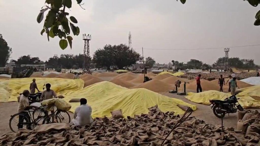 Punjab: 125 LMT wheat likely to arrive in mandis this season, says Kataruchak
