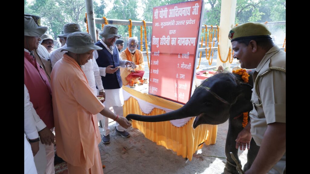 Ready plan to make Dudhwa an eco-tourism hub: CM
