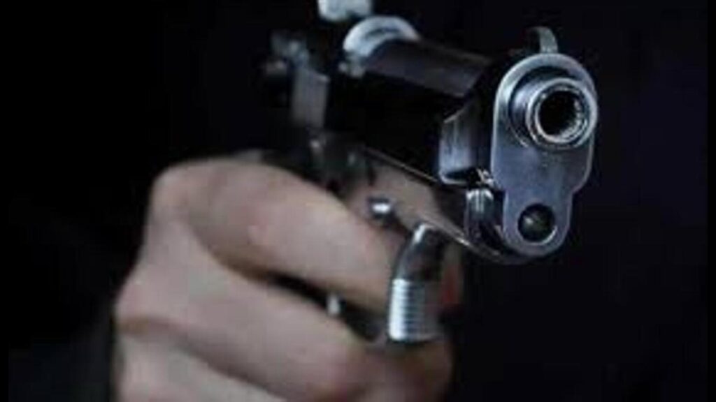 Sambhal: BJP office-bearer booked for misuse of firearm