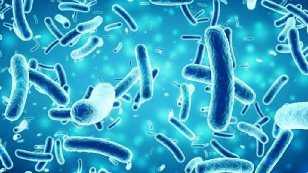 Scientifically Speaking: How bacteria might help solve our plastic problem