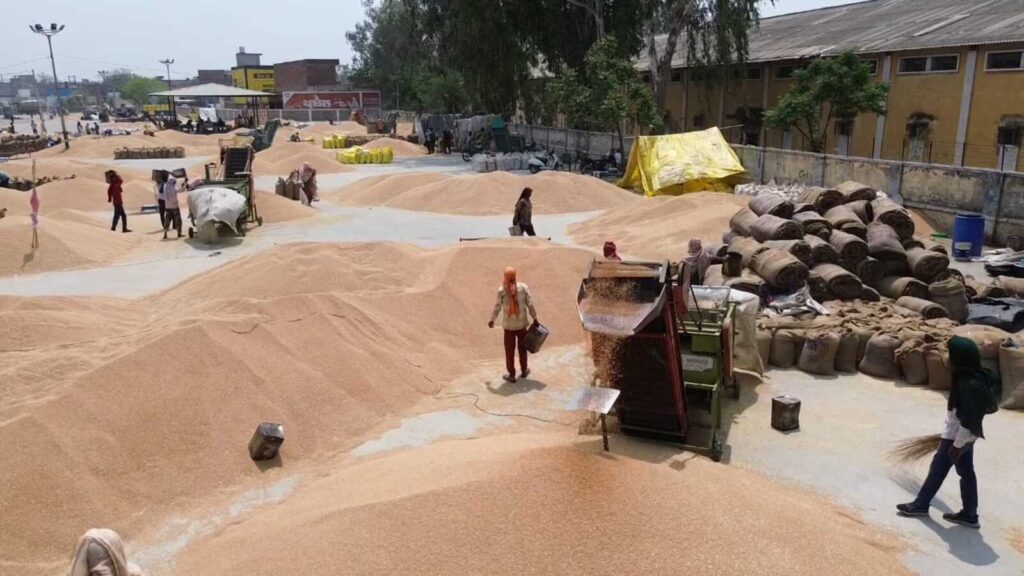 Space shortage: 31-lakh-tonne wheat to be stored in rice mills, says minister