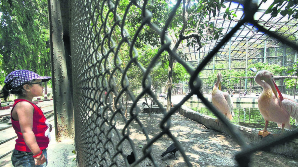 State begins process to reserve plot in Nahur for zoo and aviary | Mumbai news