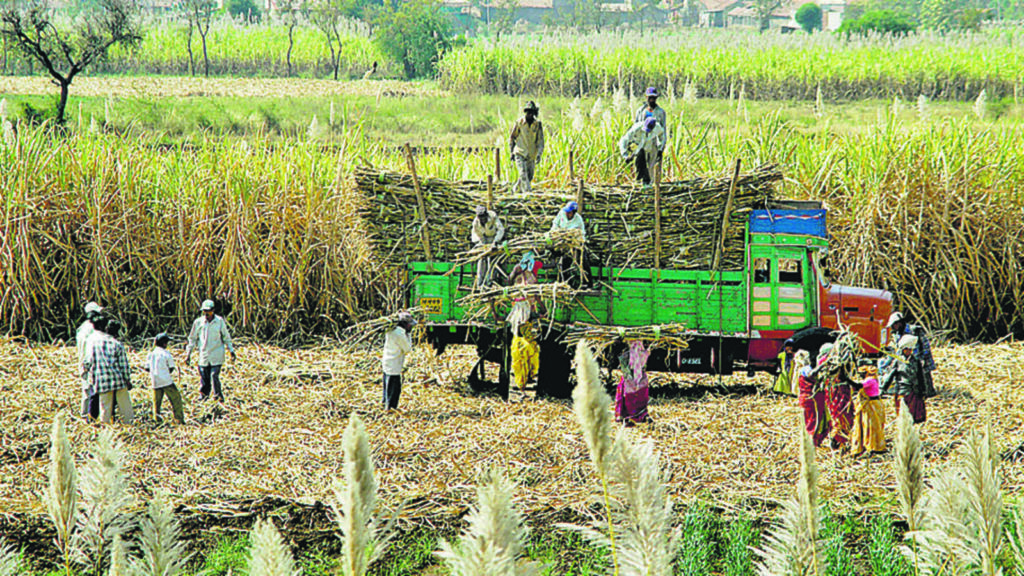 State directs sugar factories to give farmers FRP in single installment