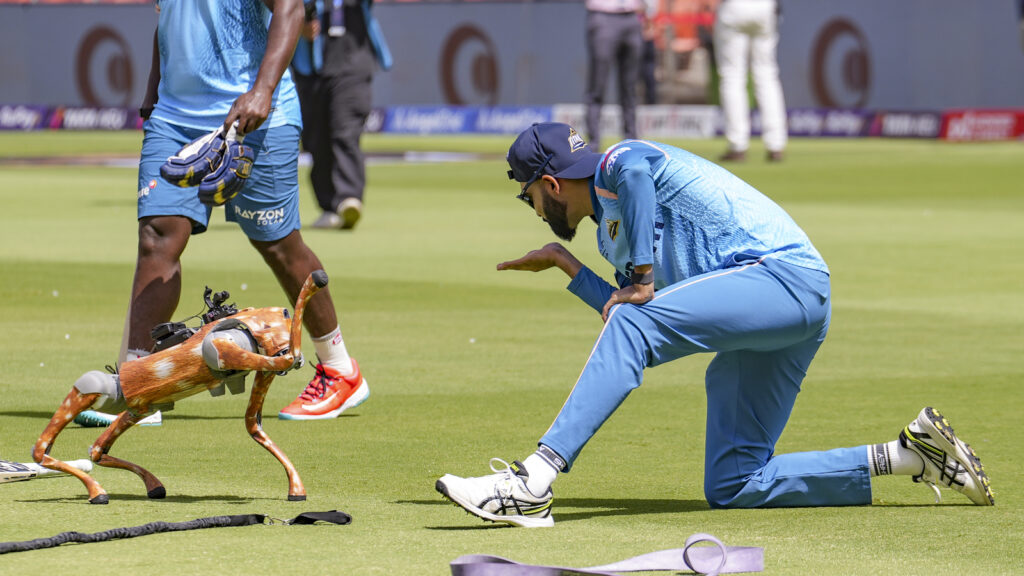Taarak Mehta Ka Ooltah Chashmah fans are thrilled after IPL names its robot dog Champak: ‘Jethalal approves this name’