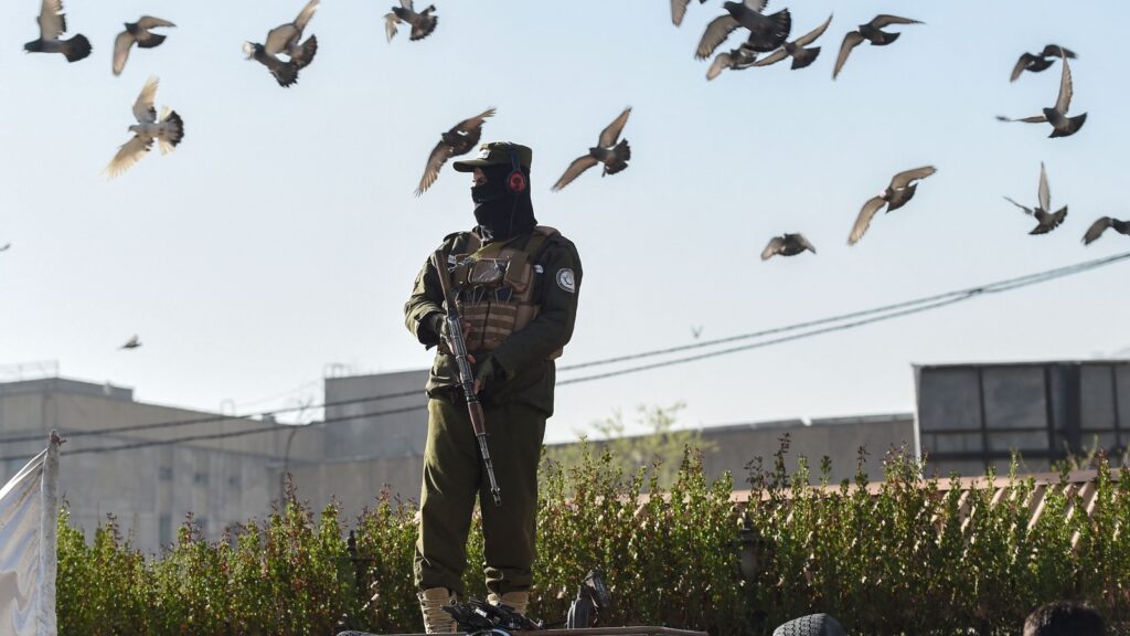 Taliban regime publicly executes 4 men, the highest single-day tally in Afghanistan since 2021 | World News