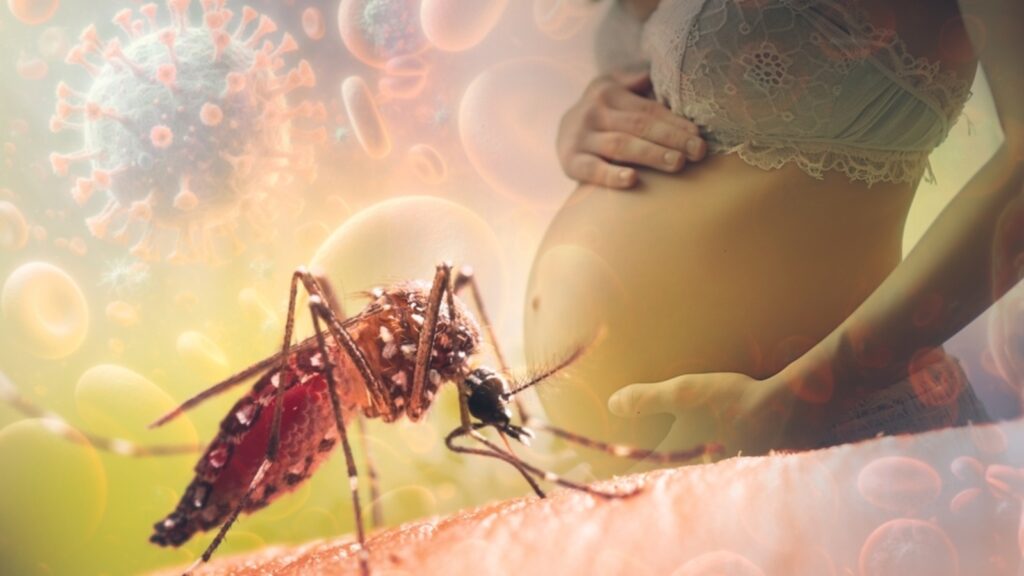 The dangers of getting malaria during pregnancy: Doctor shares preventive measures to follow | Health