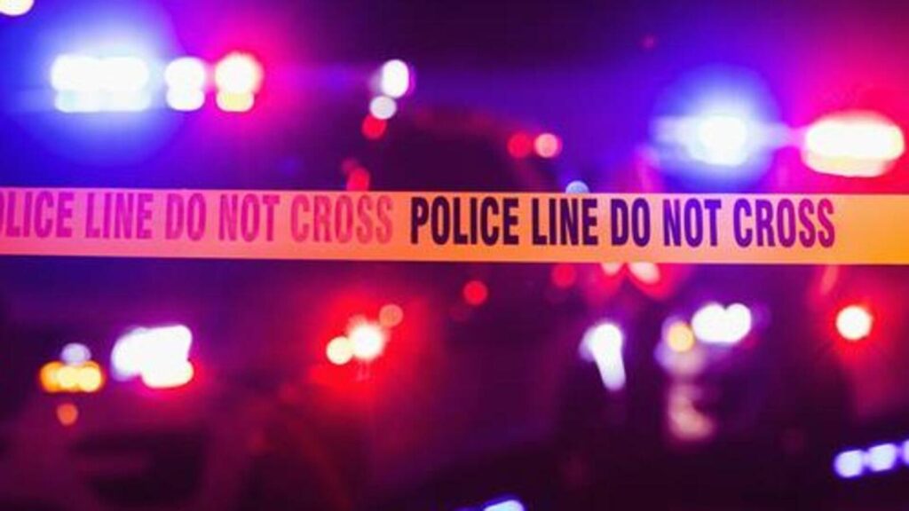 Three children killed after truck runs over them in UP district: Police