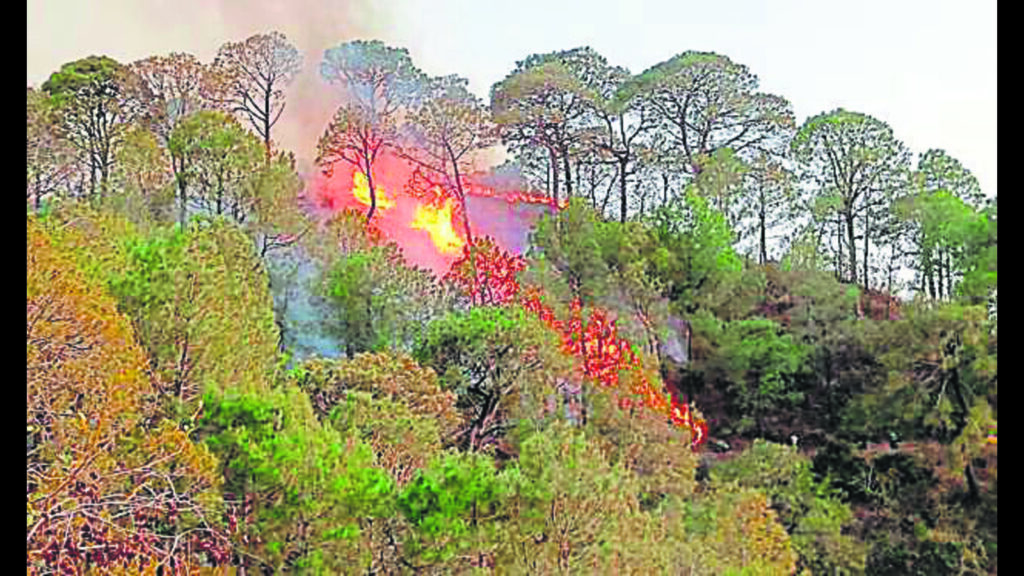 Tourists behind Morni fire to face action under Forest Act