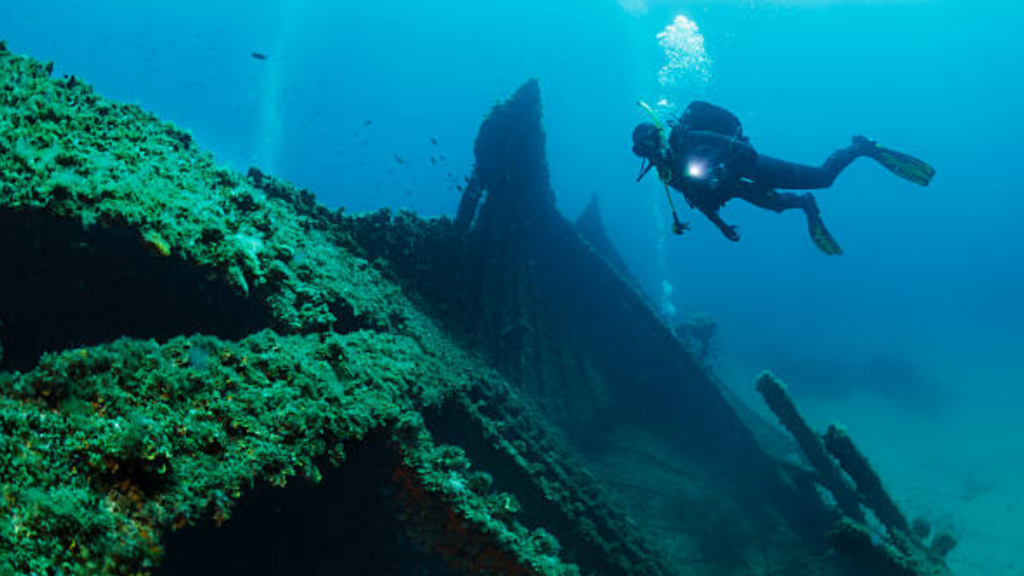 UK man buys World War I shipwreck for just ₹34,000 after spotting it on Facebook Marketplace | Trending