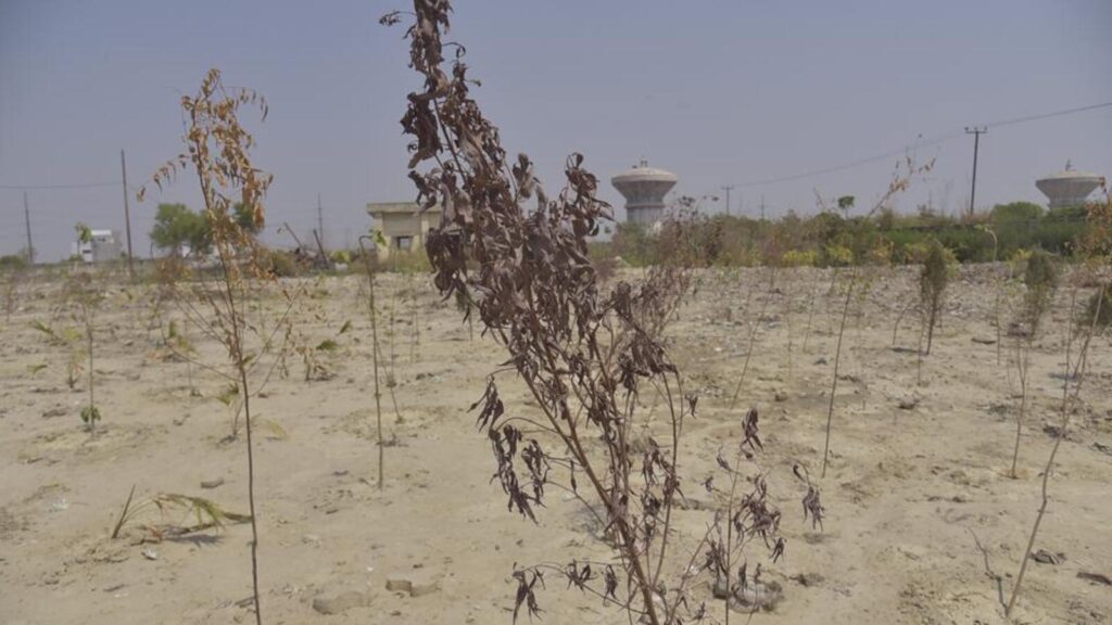 UP pollution board slaps ₹4.57 cr fine on Gzb civic body for waste dumping