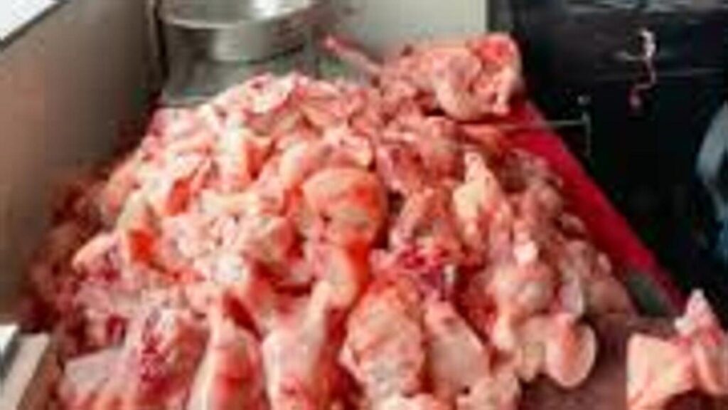Unlicensed and unchecked: Shocking reality of meat shops across Lucknow