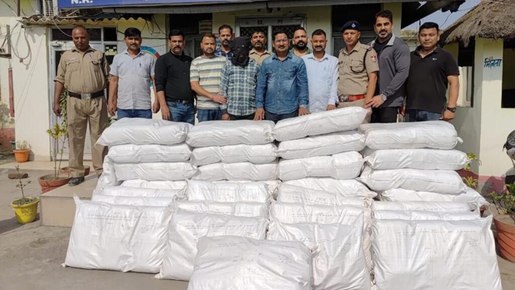 Uttarakhand STF seizes 4.34 quintals of cannabis in Udham Singh Nagar, smuggler arrested