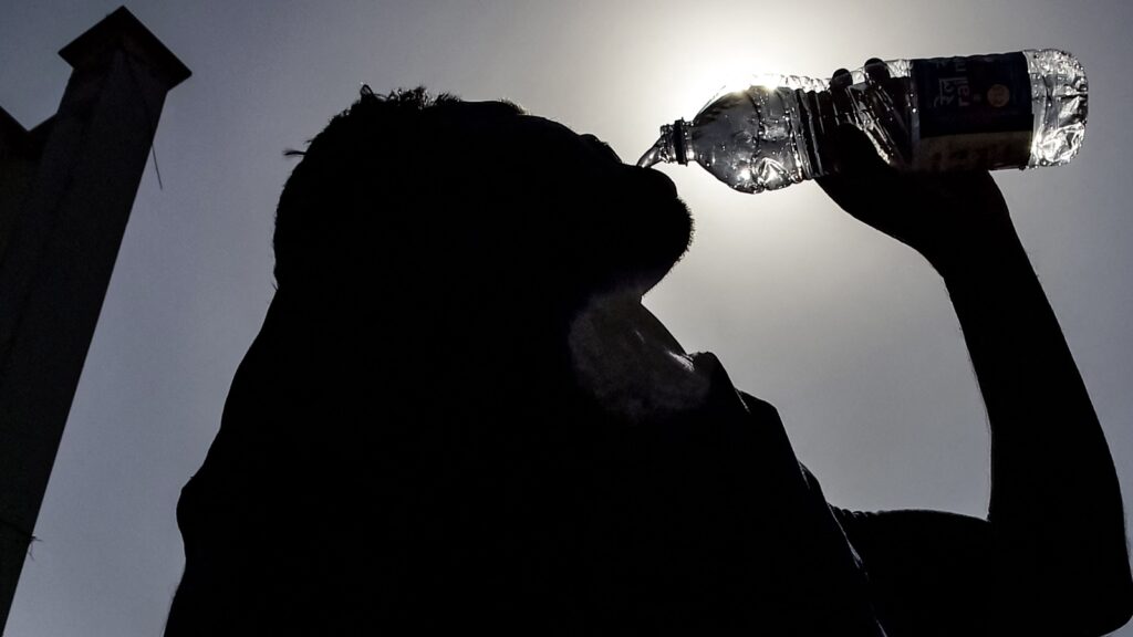 Weather Bee: Why India’s average maximum is keeping cool despite heat waves