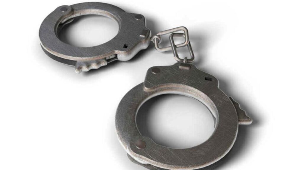 Woman fakes pregnancy for 9 months, then kidnaps girl from Safdarjung Hospital in Delhi; held | Latest News India
