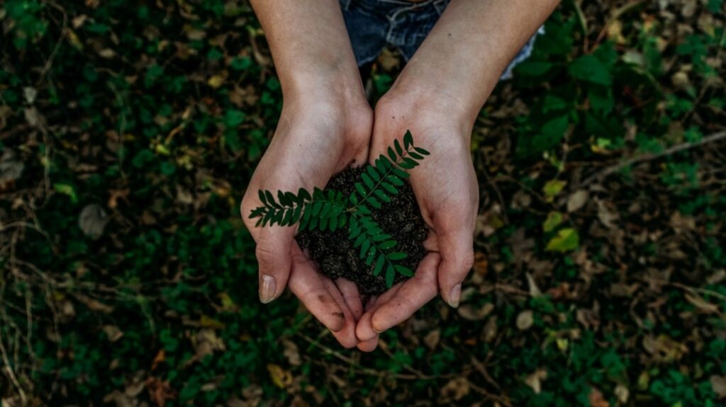World Earth Day 2025: Environmental experts highlight planning as essential for sustainable urban development