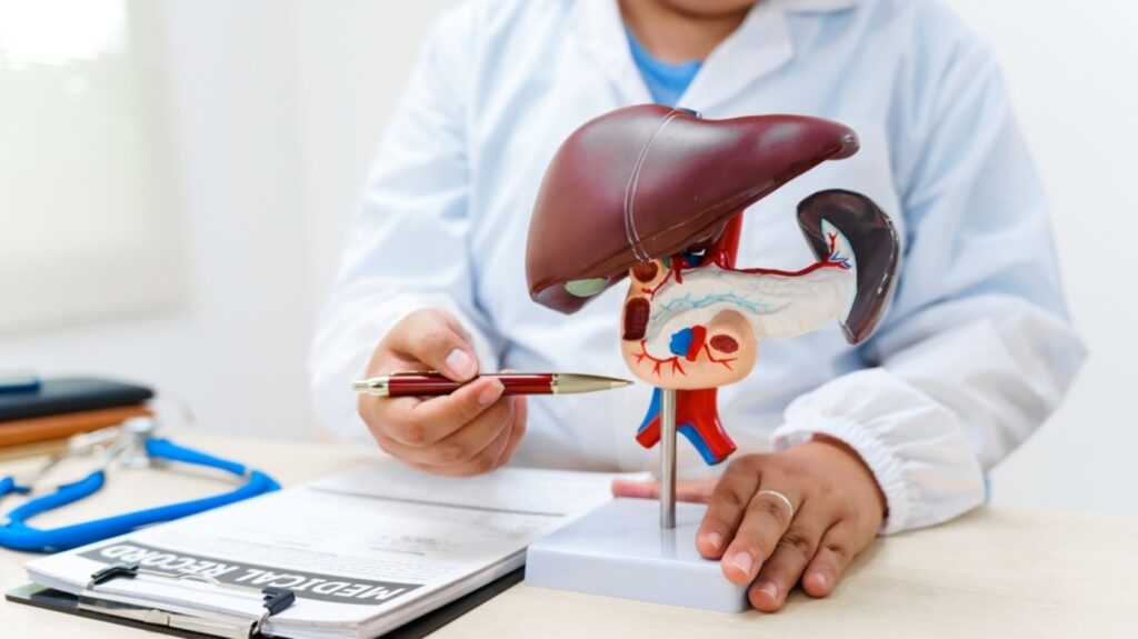 World Liver Day 2025: Superfoods and drinks to add to your diet for a healthier liver | Health