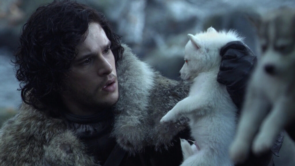 You thought only Game of Thrones? Dire Wolf rocked Hollywood nabe way many times. Here have a look