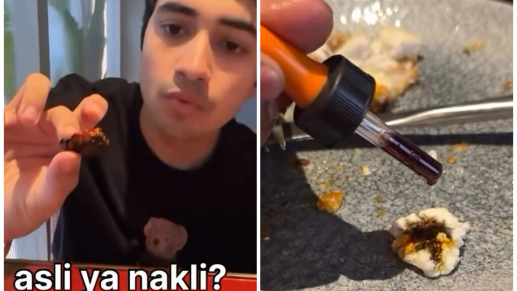 YouTuber’s viral claim sparks paneer panic: Is it safe? Experts warn of toxic ingredients in fake versions