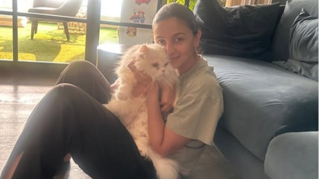 ‘Princess’ Raha clicks Alia Bhatt’s adorable picture with her prince; fans call her ‘cutest tiny photographer’ | Bollywood