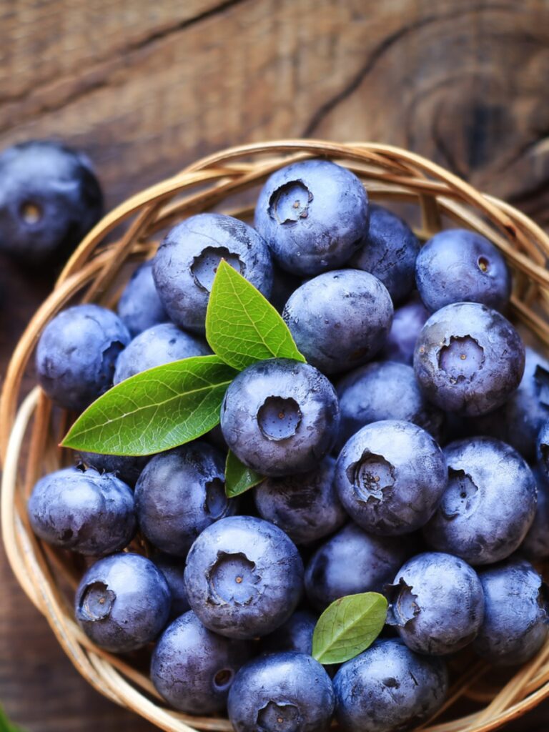 10 reasons why doctors ask to have a handful of Blueberries daily