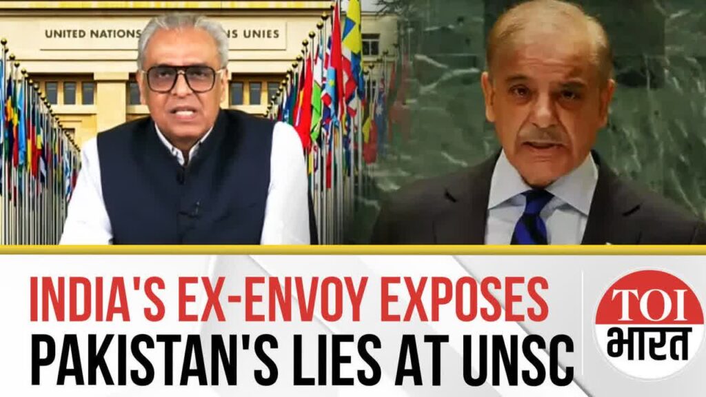 'Pakistan's Grandstanding Faltered, Flopped': India's Ex Envoy At UN On Closed Door UNSC Meeting