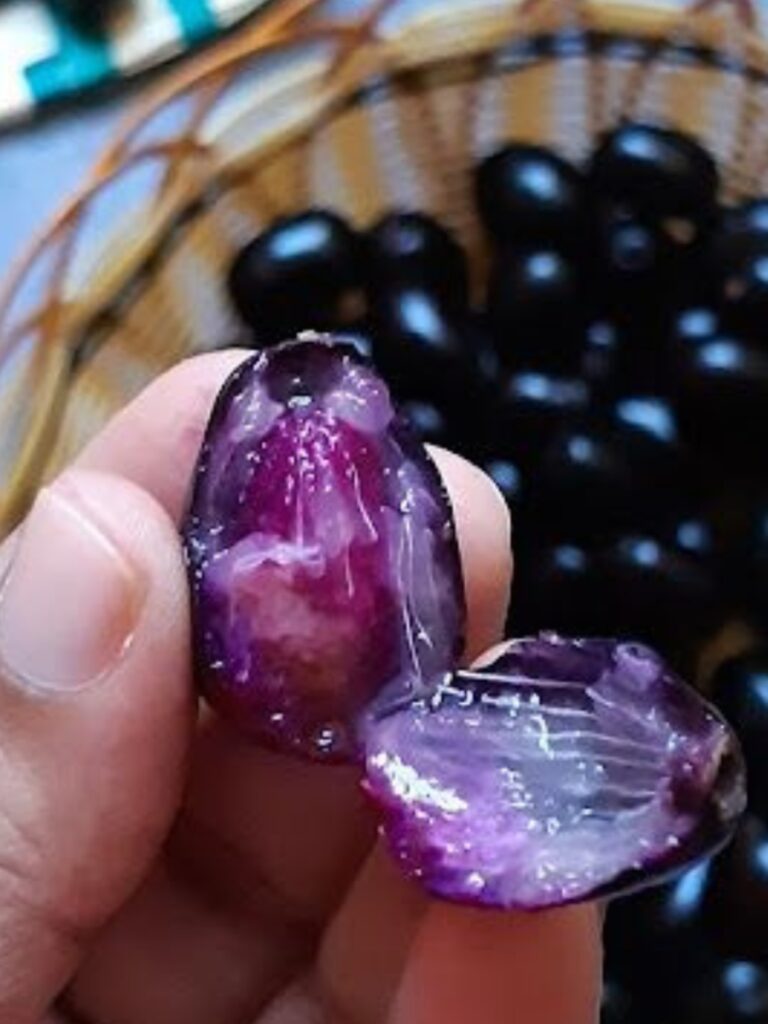 10 reasons to have Jamun seed powder on an empty stomach
