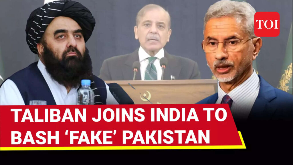 Taliban Sides With India, DESTROYS Pakistan’s Bid To ‘Create RIFT’ In Call With Jaishankar