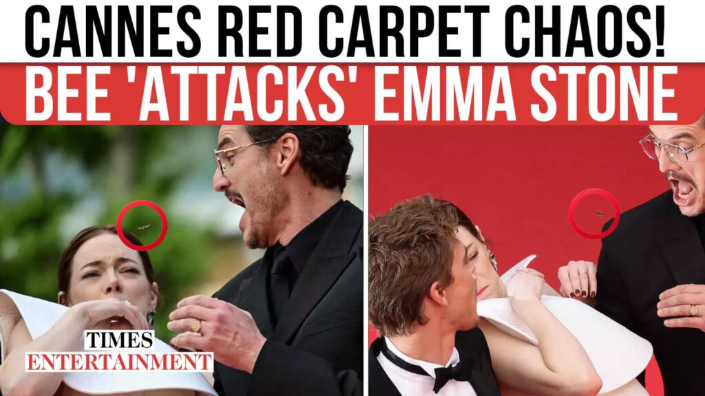 Emma Stone Dodges A Bee At Cannes, Chaotic Red Carpet Moment Captured