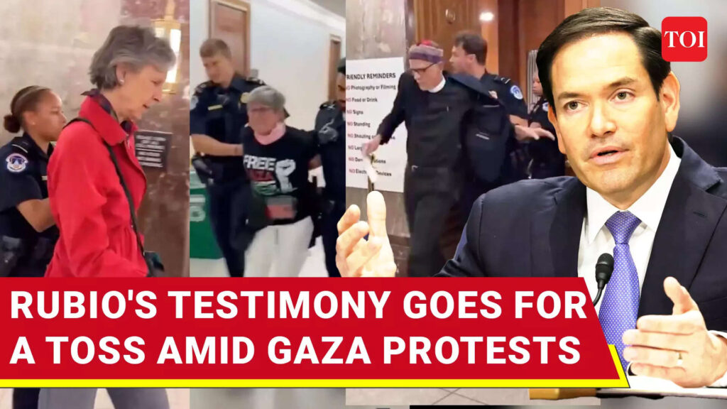 'Stop Israel': Pro-Gaza Protesters Storm Rubio's Budget Testimony, Heckle Trump Aide | Watch