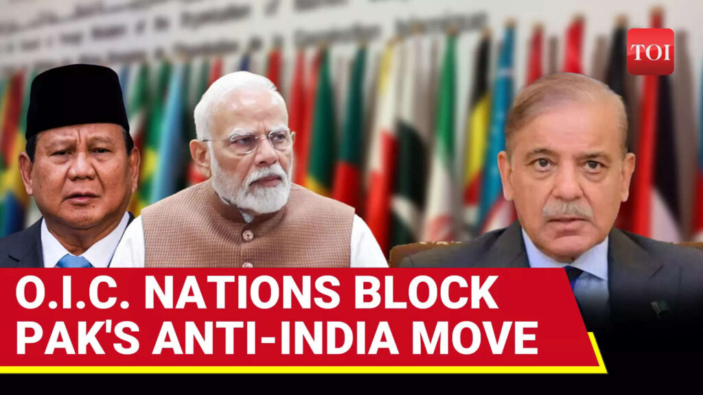 Indonesia, Bahrain, Egypt SNUB Pak; Block Anti-India Move At OIC Over Kashmir