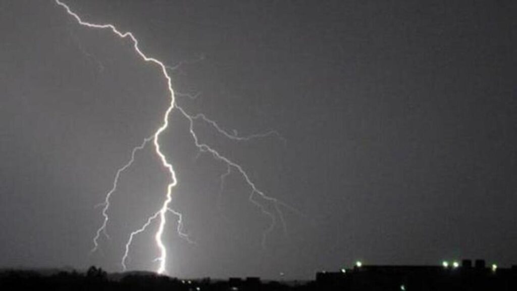 14 die in unseasonal rains in Gujarat, IMD warns of rough weather in coming days