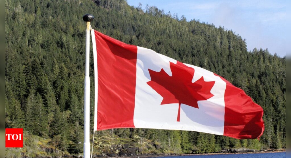 Canada Federal Elections 2025: Where do different parties stand on key issues?