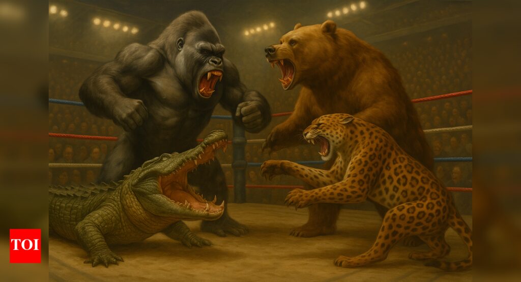 Animals More Dangerous Than Gorilla: Five animals that would destroy a silverback gorilla |